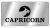 Zodiac - Capricorn Logo/Word